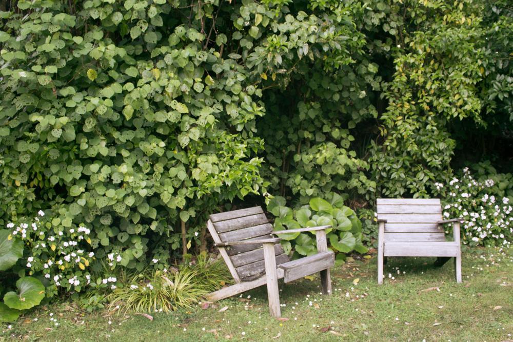 Amongst The Nikau Vila Waihi Exterior foto