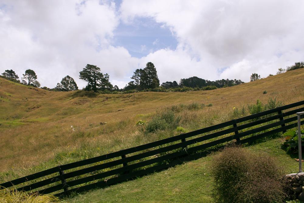Amongst The Nikau Vila Waihi Exterior foto