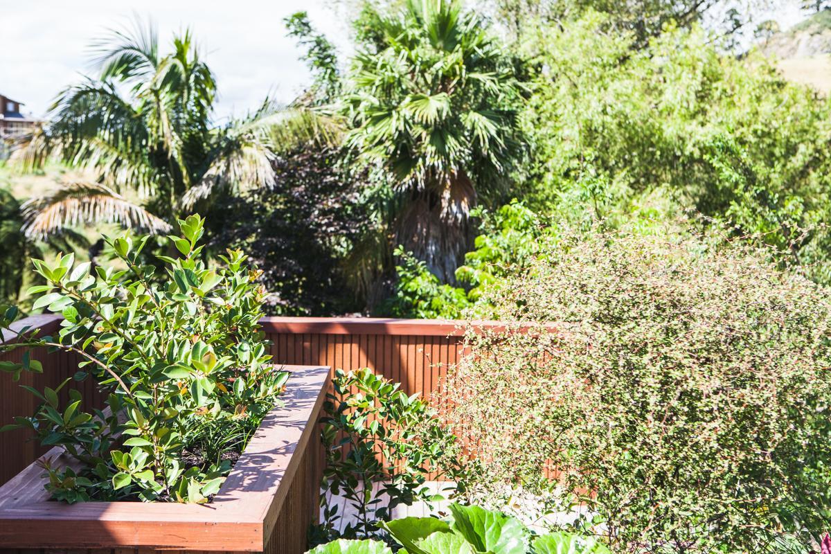 Amongst The Nikau Vila Waihi Exterior foto